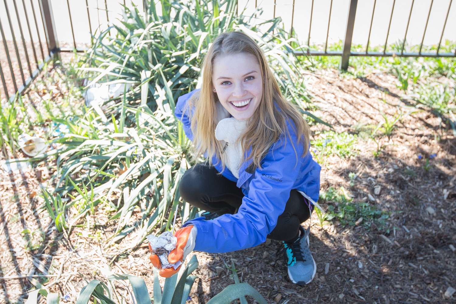 Northeastern Hillel plants and cleans up in a local park.