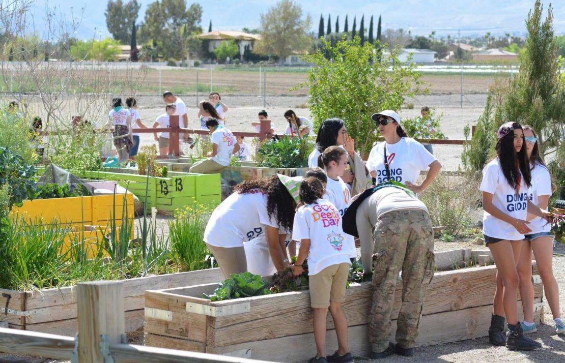 Voluntarios Plantando un Jardín Comunitario