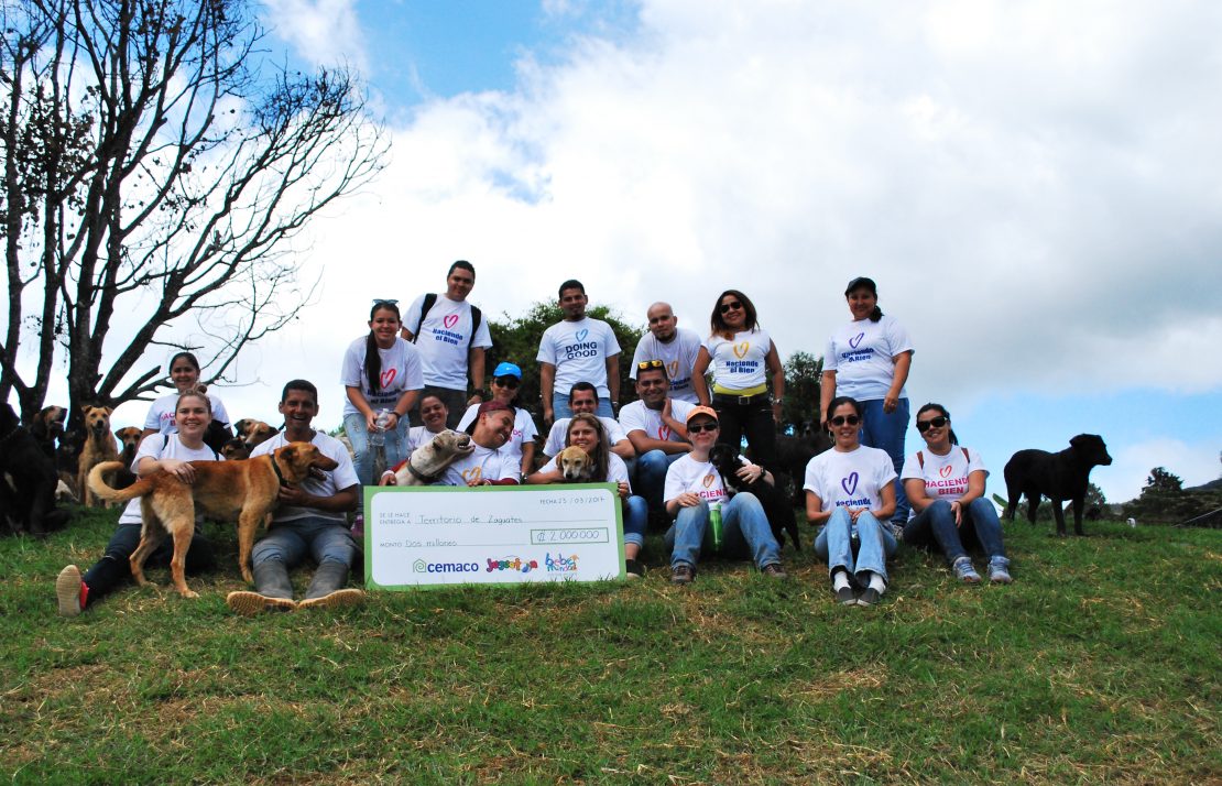 Empleados Haciendo Voluntariado con Animales