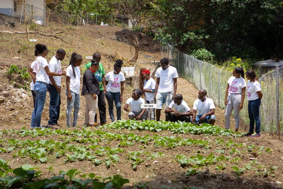 Plantando una huerta urbana para la comunidad