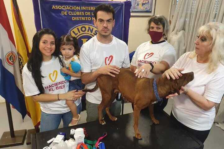 proteger a los animales