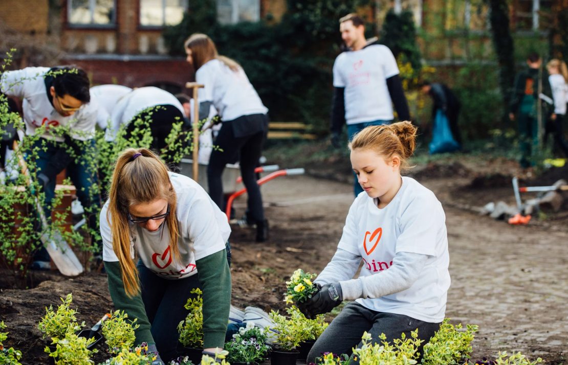 Creating an Urban Garden