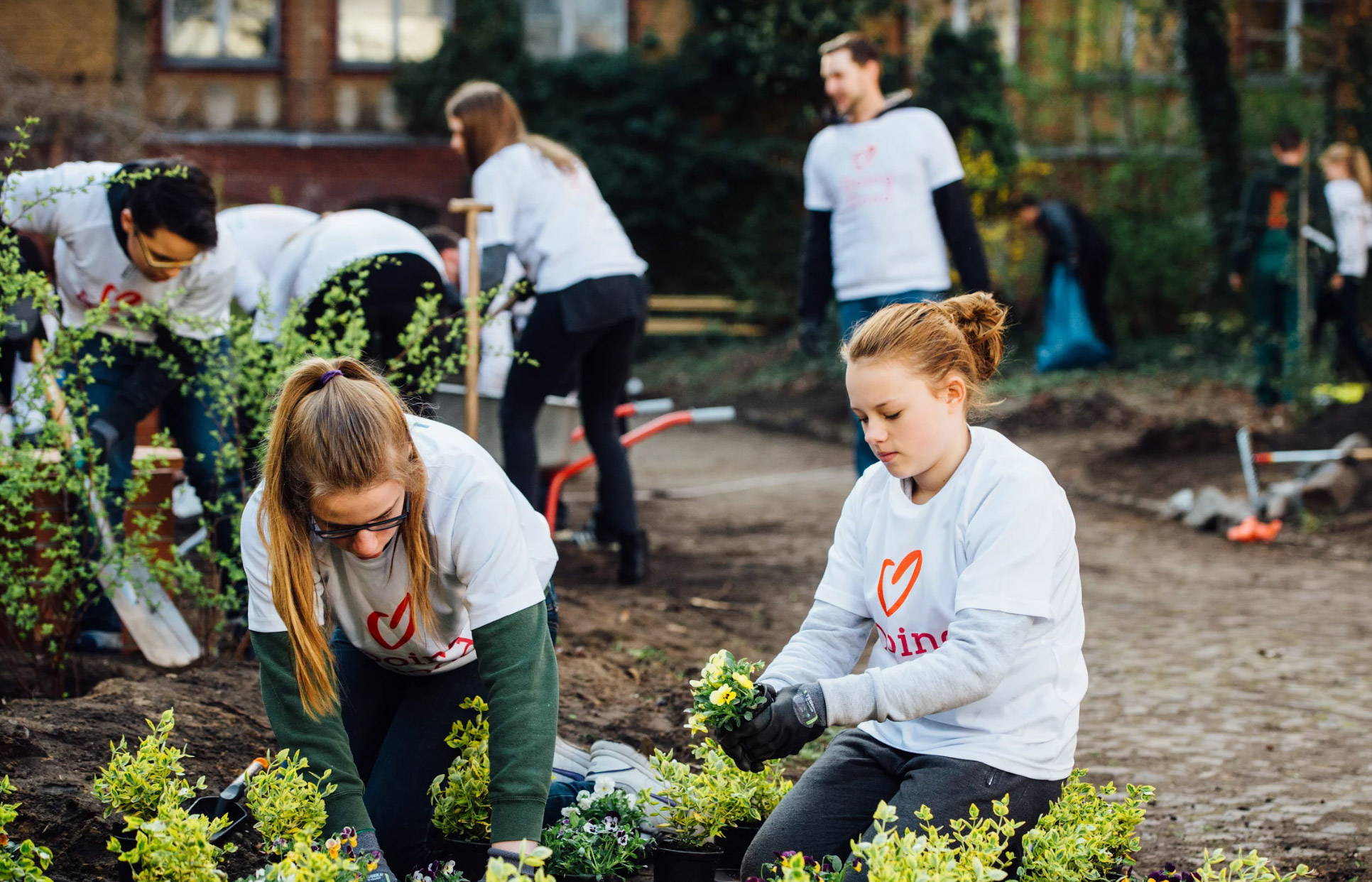 Creating an Urban Garden