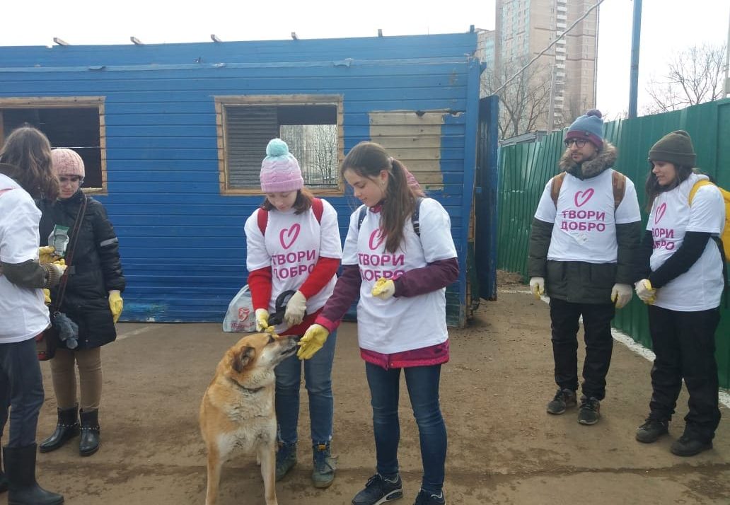 volunteering in Moscow